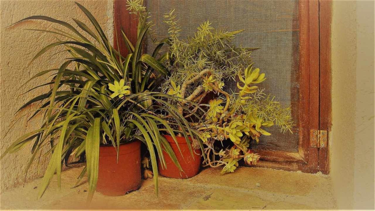 Willa Ca Lesperrucat Acogedora Casa De Pueblo Tranquila Y Bien Comunicada Argelaguer Zewnętrze zdjęcie